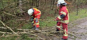 Mehr über den Artikel erfahren Einsatz: Baum auf Fahrbahn nach Unwetter